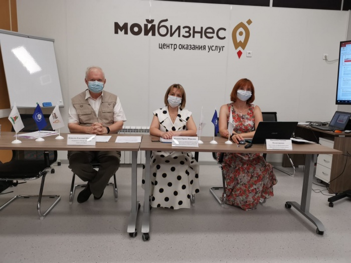 Центр инноваций социальной сферы организовал цикл семинаров-вебинаров