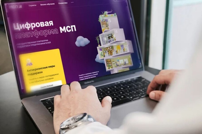 Липецкие предприниматели более 17,5 тысяч раз воспользовались сервисами и продуктами Цифровой платформы МСП.РФ 