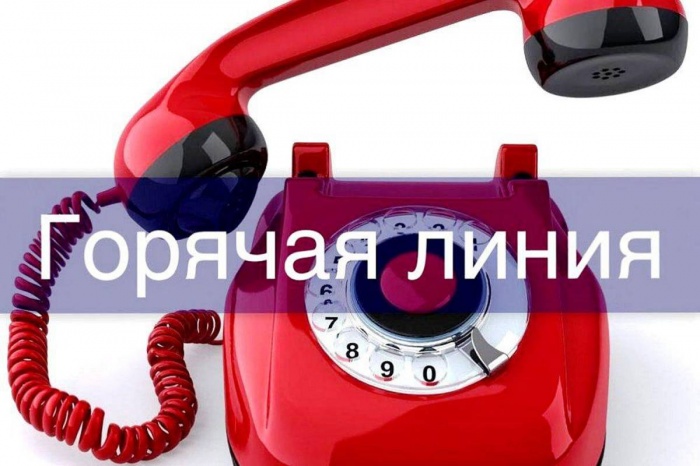 "Горячая линия" для предпринимателей региона продолжает свою работу "Горячая линия" для предпринимателей региона продолжает свою работу