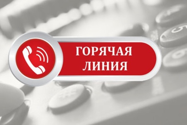 Открытие «горячей линии» для предпринимателей