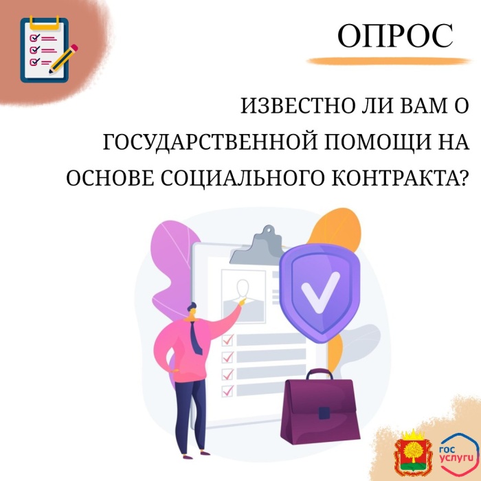 Стартовал опрос предпринимателей о государственной помощи на основе социального контракта