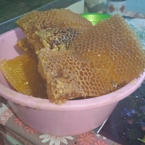 Пчеловодство «Золотая пчёлка»
